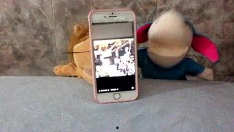 娱乐吃瓜酱手机,揭秘娱乐圈幕后故事，带你领略明星生活点滴