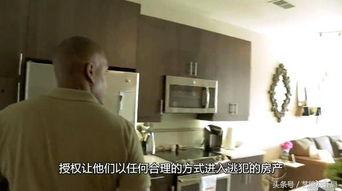 吃瓜爆料警察,吃瓜爆料背后的真相与正义